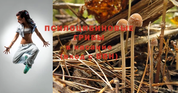 твердый Арсеньев
