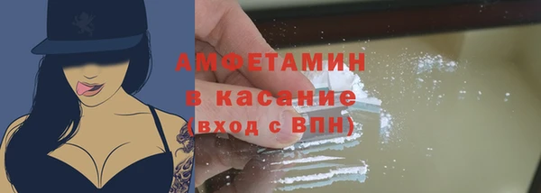 твердый Арсеньев