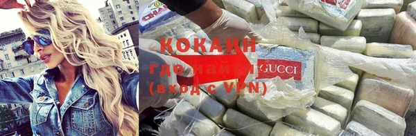 твердый Арсеньев
