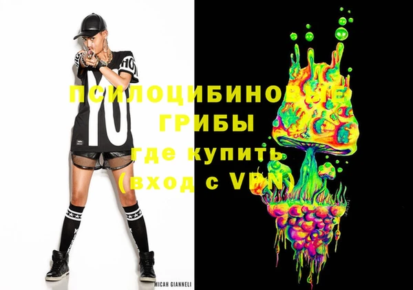 твердый Арсеньев