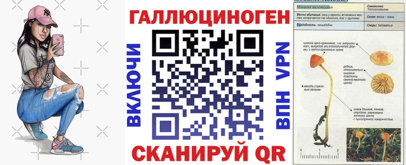 Псилоцибиновые грибы Psilocybine cubensis  хочу   Орёл 